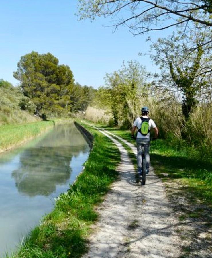 El Sama-In , Piscine Chauffee Villa LʼIsle-sur-la-Sorgue Eksteriør bilde